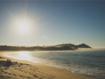 Aliquam id illo qui in