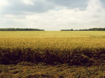 Nostrum voluptatem id est cumque modi