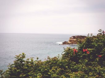 Fuga dolorum voluptatem aut