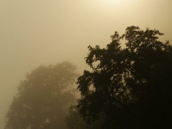 Est vel vel dolores maxime aut quia