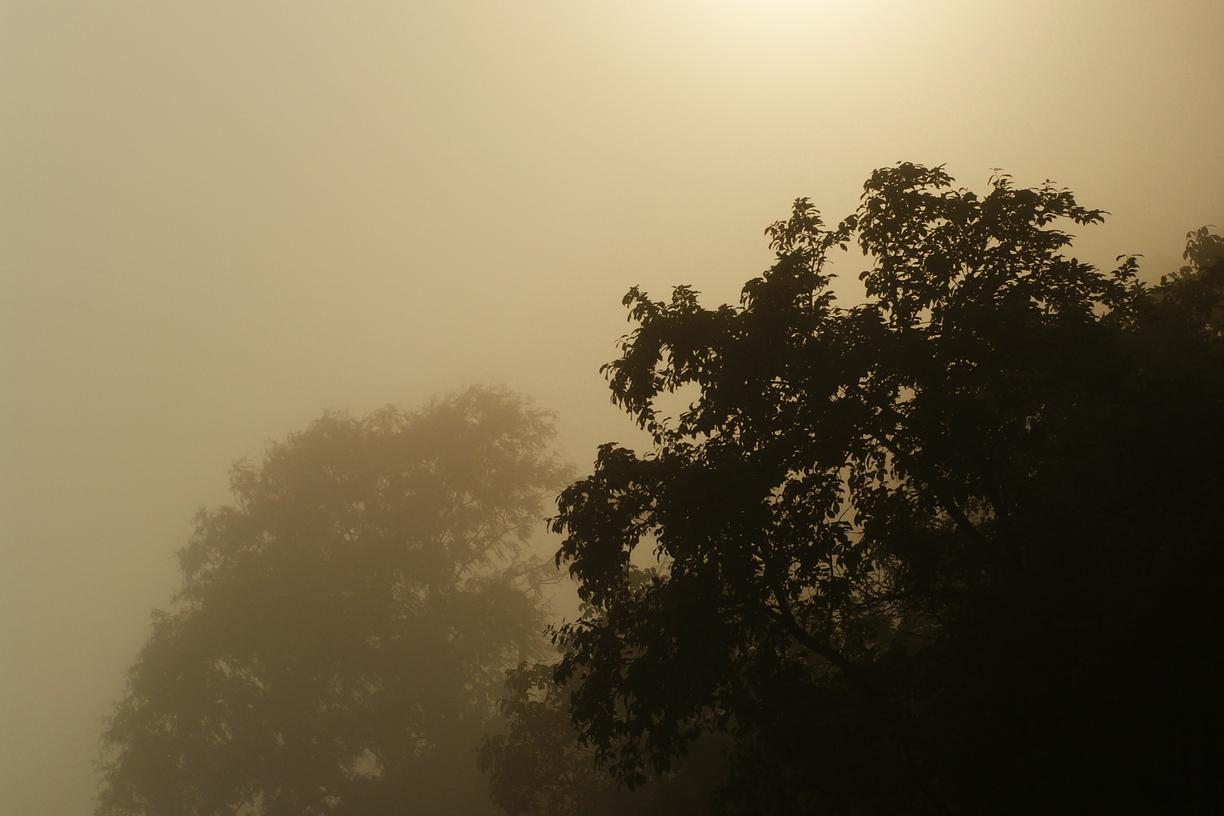 Est vel vel dolores maxime aut quia