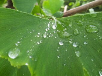 Porro saepe repudiandae nihil provident quo eos